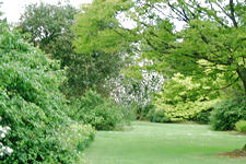 kalmthout_225x150_023.jpg