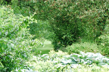 kalmthout_225x150_026.jpg