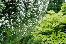 kalmthout_225x150_027.jpg