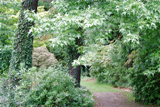 kalmthout_225x150_031.jpg