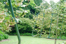 kalmthout_225x150_036.jpg