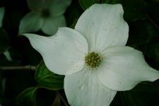 kalmthout_225x150_042.jpg