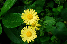 kalmthout_225x150_049.jpg