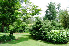 kalmthout_225x150_062.jpg