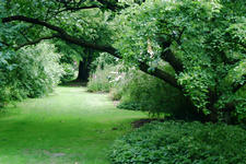 kalmthout_225x150_069.jpg