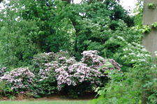 kalmthout_225x150_104.jpg