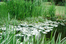 kalmthout_225x150_106.jpg