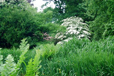 kalmthout_225x150_108.jpg