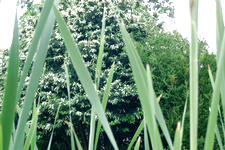 kalmthout_225x150_109.jpg