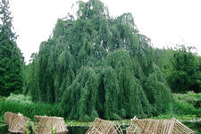 kalmthout_225x150_110.jpg