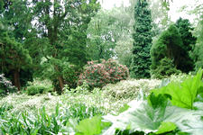 kalmthout_225x150_126.jpg