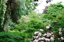 kalmthout_225x150_127.jpg