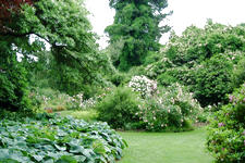 kalmthout_225x150_130.jpg