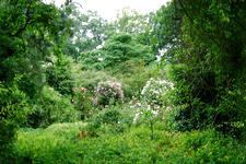kalmthout_225x150_133.jpg