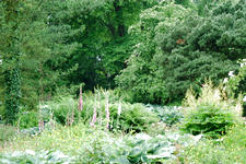 kalmthout_225x150_142.jpg