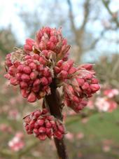 kalmthout_170x227_029.jpg