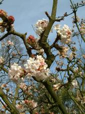 kalmthout_170x227_032.jpg
