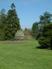 kalmthout_170x227_001.jpg
