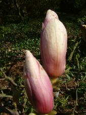 kalmthout_170x227_004.jpg