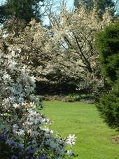 kalmthout_170x227_010.jpg