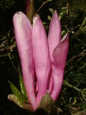 kalmthout_170x227_013.jpg
