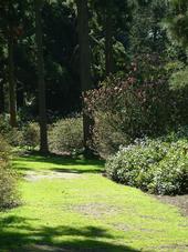 kalmthout_170x227_015.jpg