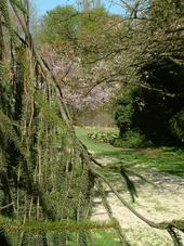 kalmthout_170x227_019.jpg