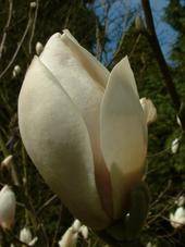 kalmthout_170x227_025.jpg