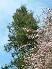kalmthout_170x227_028.jpg