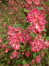 kalmthout_170x227_035.jpg