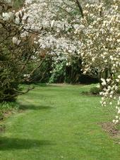 kalmthout_170x227_039.jpg