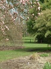 kalmthout_170x227_040.jpg