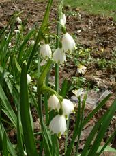 kalmthout_170x227_041.jpg
