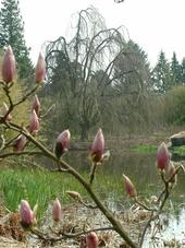 kalmthout_170x227_043.jpg
