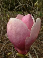 kalmthout_170x227_044.jpg