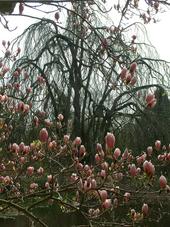 kalmthout_170x227_047.jpg