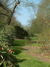 kalmthout_170x227_064.jpg