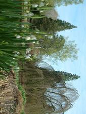 kalmthout_170x227_067.jpg