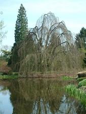 kalmthout_170x227_069.jpg