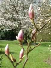 kalmthout_170x227_070.jpg