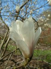 kalmthout_170x227_071.jpg