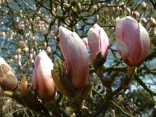 kalmthout_227x170_005.jpg