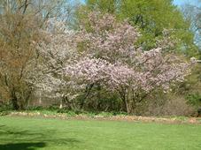 kalmthout_227x170_021.jpg
