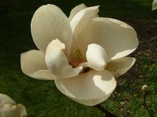 kalmthout_227x170_026.jpg