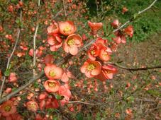 kalmthout_227x170_029.jpg