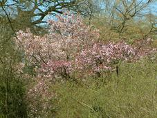 kalmthout_227x170_036.jpg