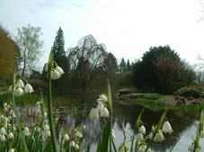 kalmthout_227x170_042.jpg