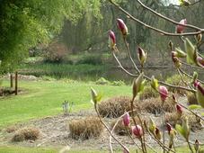kalmthout_227x170_046.jpg