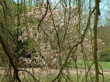 kalmthout_227x170_051.jpg