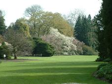 kalmthout_227x170_053.jpg